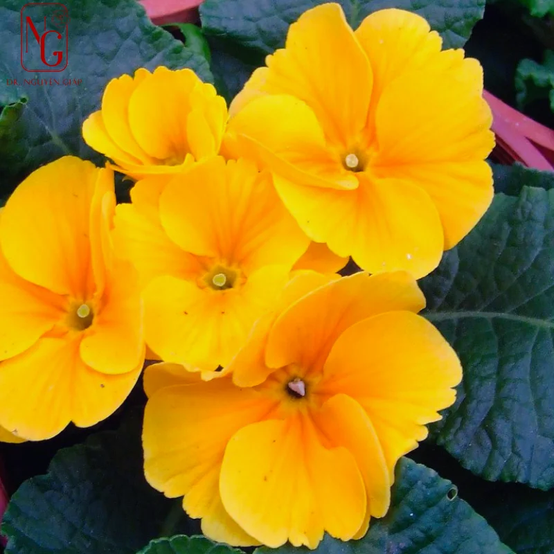 united kingdom sports