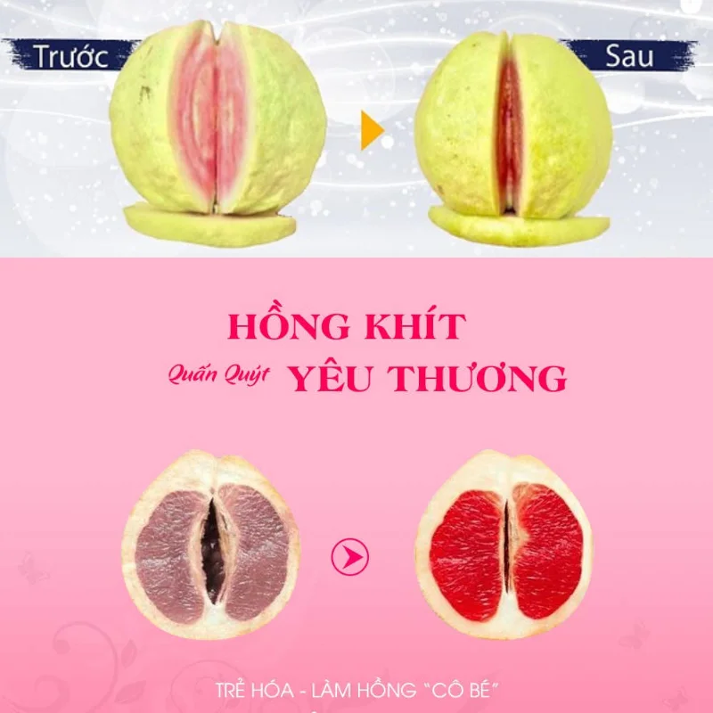 Service miniature enclosed areas modern