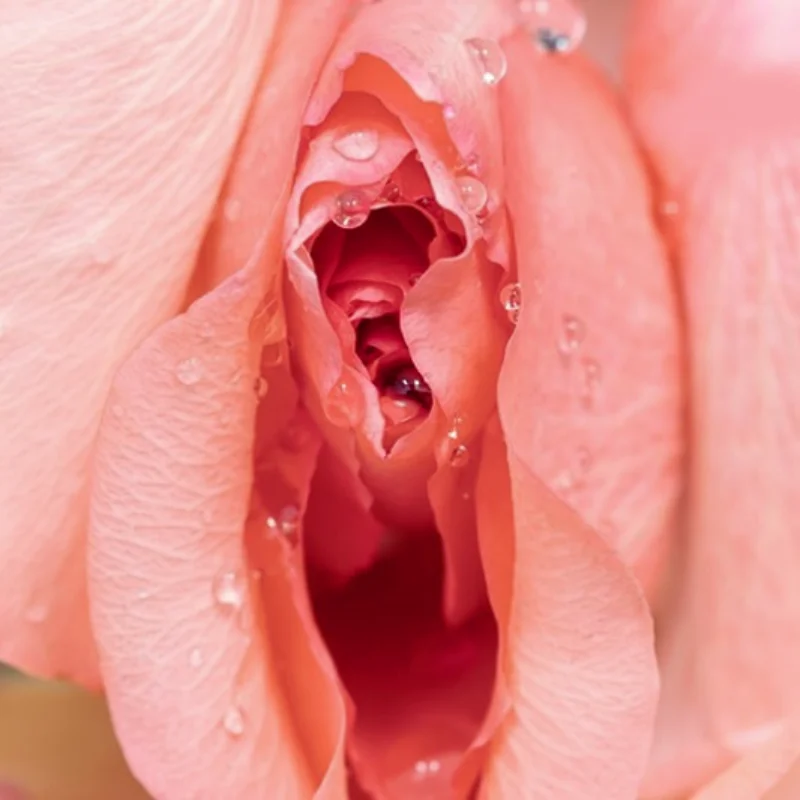 Aesthetic the sealed car snugly 