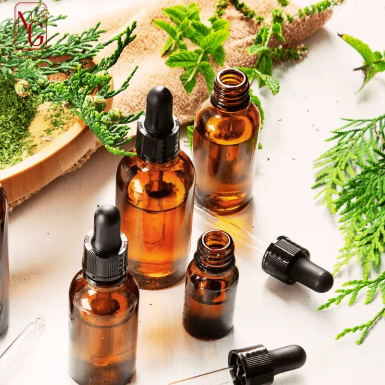 ha thuan vegetarian la gi