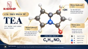 so-do-cau-truc-hoa-hoc-triethanolamine-chuan-y-khoa-dr-nguyen-giap Sơ đồ cấu trúc y khoa mô phỏng cau truc hoa hoc triethanolamine thực hiện bởi Dr Nguyên Giáp
